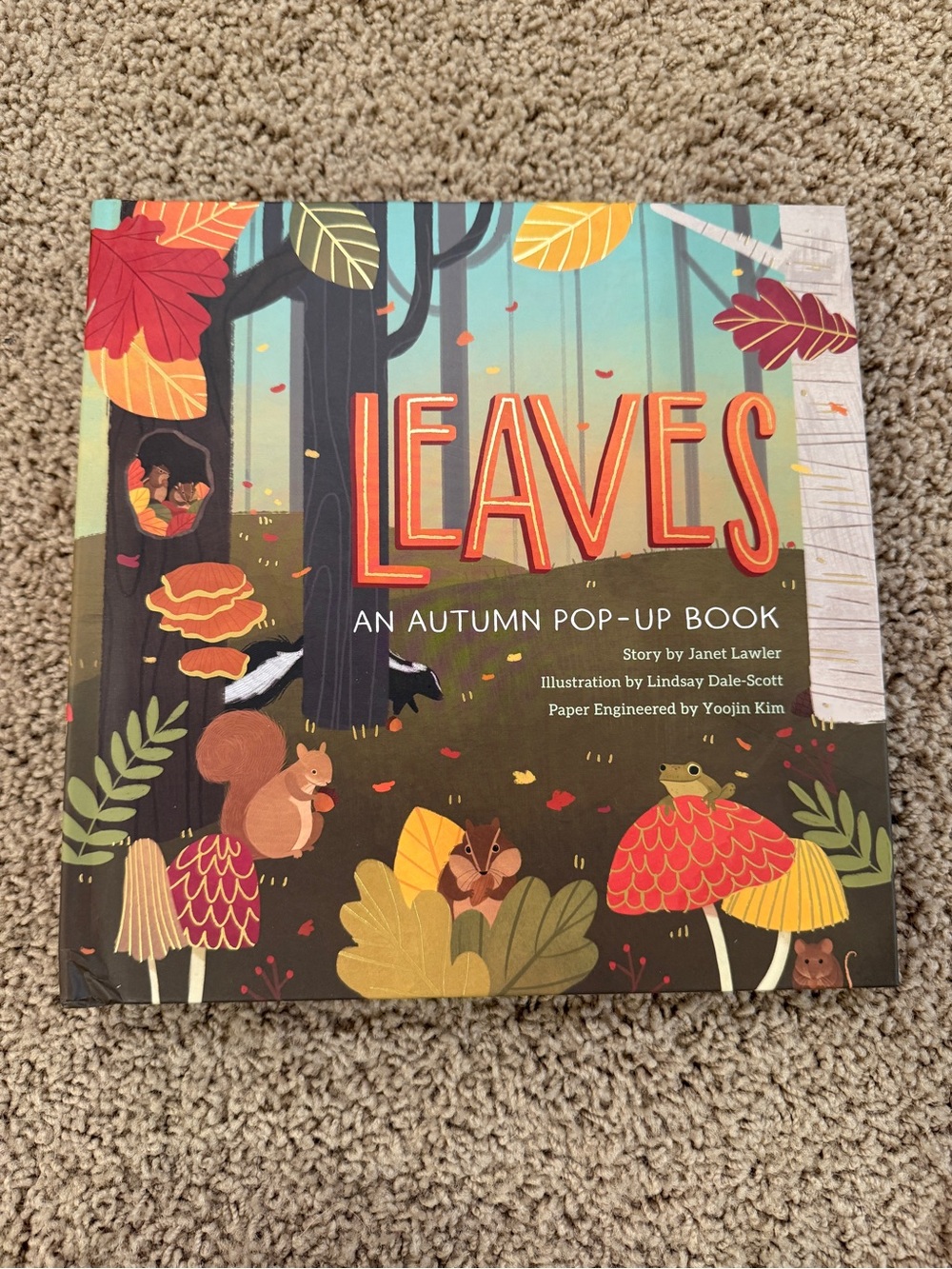 Leaves: An Autumn Pop-Up Book by Janet Lawler